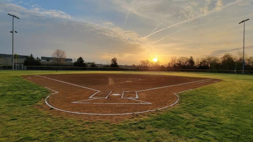 Field in sunset